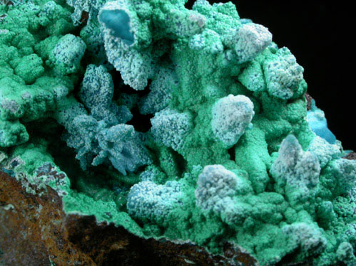 Chrysocolla pseudomorph after Malachite from Planet Mine, La Paz County, Arizona