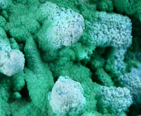 Chrysocolla pseudomorph after Malachite from Planet Mine, La Paz County, Arizona