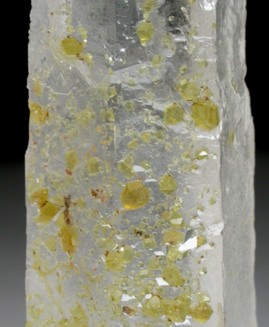 Phenakite on Quartz from Sao Miguel de Piracicaba, Minas Gerais, Brazil