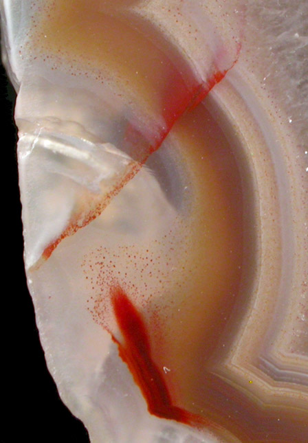 Quartz var. Laguna Agate from Ojo Laguna, Ahumada, Chihuahua, Mexico