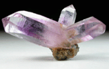 Quartz var. Amethyst from Amatitlan, Zumpango del Rio, Guerrero, Mexico