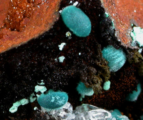 Rosasite from Mina Ojuela, Mapimi, Durango, Mexico