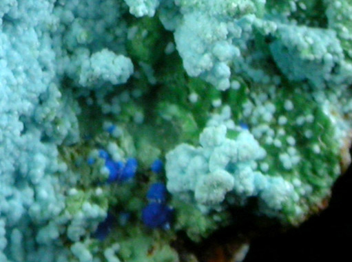 Chalcoalumite with Cyanotrichite from Grandview Mine, Coconino County, Arizona