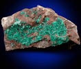 Dioptase from Harquahala Mine, La Paz County, Arizona