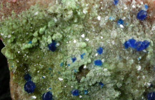 Gilalite, Kinoite, Apophyllite from Christmas Mine, Banner District, Gila County, Arizona (Type Locality for Gilalite)