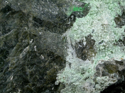 Heazlewoodite with Zaratite from Heazlewood District, Tasmania, Australia (Type Locality for Heazlewoodite)