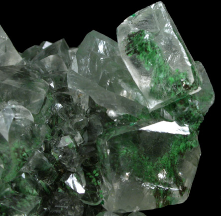 Calcite with Conichalcite inclusions from Mapimi District, Durango, Mexico