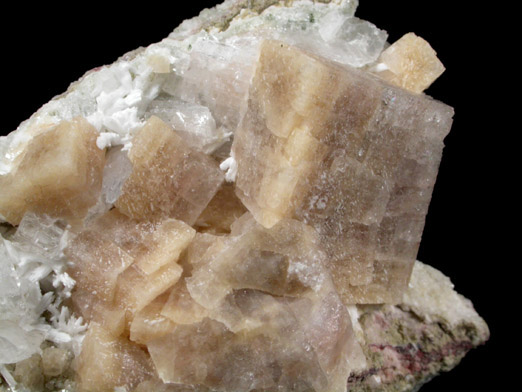 Chabazite-Ca, Heulandite-Ca, Apophyllite, Laumontite from Upper New Street Quarry, Paterson, Passaic County, New Jersey