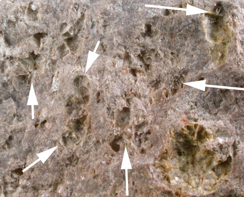 Tridymite from Beidel (Bedel) Creek, San Juan Mountains, Colorado
