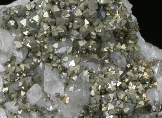 Pyrite on Calcite from Pint's Quarry, Raymond, Black Hawk County, Iowa