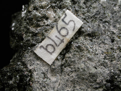 Biotite with Nepheline from Mount Vesuvius, Napoli, Campania, Italy (Type Locality for Biotite)