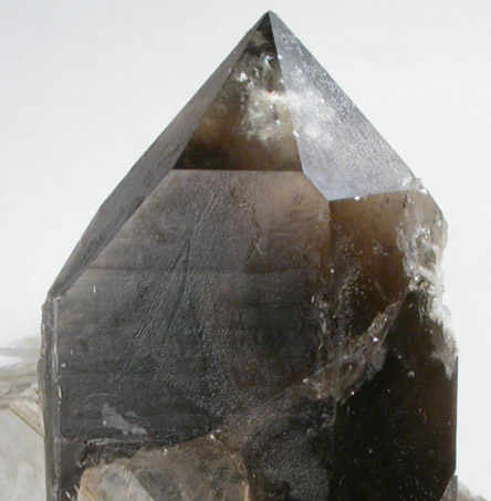 Quartz var. Smoky with Muscovite from Little Three Mine, Ramona District, San Diego County, California