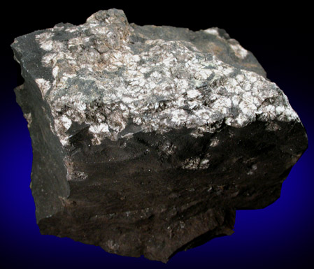Messelite from Grube Prinz von Hessen, 6.5 km NE of Darmstadt, Hessen, Germany