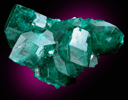 Dioptase from Tsumeb Mine, Otavi-Bergland District, Oshikoto, Namibia