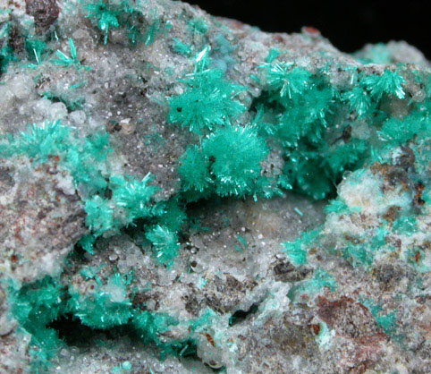 Dioptase from Christmas Mine, Banner District, Gila County, Arizona