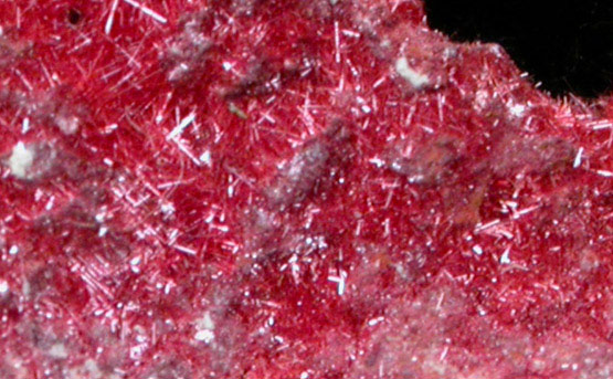 Cuprite var. Chalcotrichite from New Cornelia Mine, Ajo, Pima County, Arizona