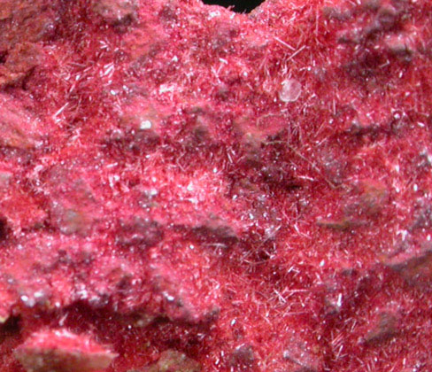 Cuprite var. Chalcotrichite on Copper from Ray Mine, Mineral Creek District, Pinal County, Arizona