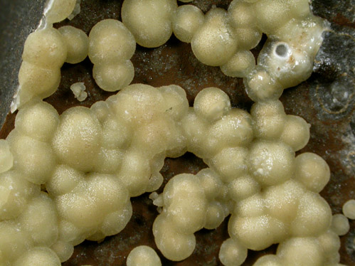 Calcite from Campomorto Quarry, Montalto di Castro, Viterbo, Italy