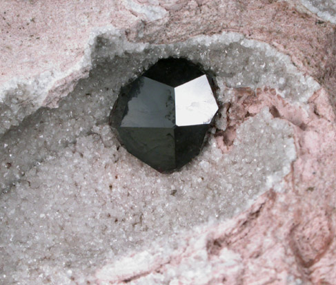 Almandine Garnet in Rhyolite from Garnet Hill, 7.5 km WNW of Ely, White Pine County, Nevada