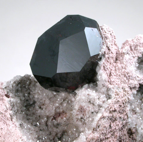 Almandine Garnet in Rhyolite from Garnet Hill, 7.5 km WNW of Ely, White Pine County, Nevada