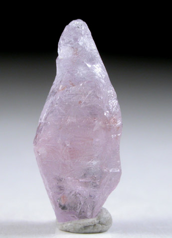 Corundum var. Ruby from Central Highland Belt, near Ratnapura, Sri Lanka