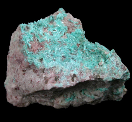 Ajoite from New Cornelia Mine, Ajo, Pima County, Arizona (Type Locality for Ajoite)