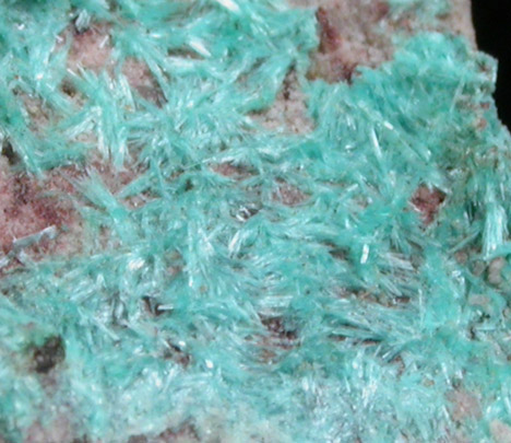 Ajoite from New Cornelia Mine, Ajo, Pima County, Arizona (Type Locality for Ajoite)