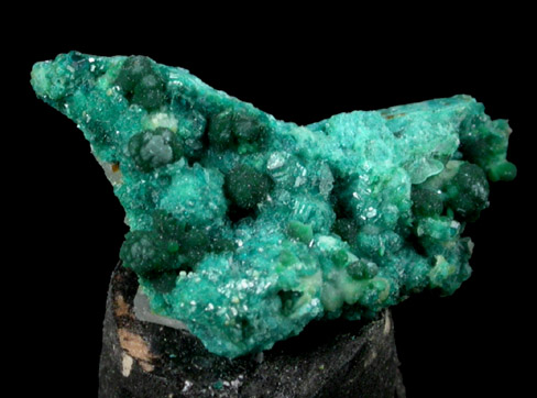 Spangolite from Blanchard Mine, Hansonburg District, 8.5 km south of Bingham, Socorro County, New Mexico