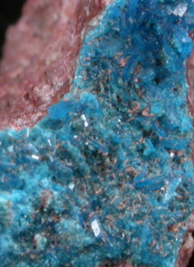 Papagoite from New Cornelia Mine, Ajo, Pima County, Arizona (Type Locality for Papagoite)