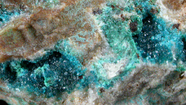 Spangolite from Blanchard Mine, Hansonburg District, 8.5 km south of Bingham, Socorro County, New Mexico