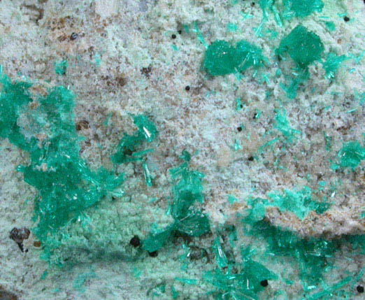 Dioptase from Christmas Mine, Banner District, Gila County, Arizona