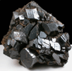 Titanite on Amphibole (Fluor-Magnesiokatophorite) from Tory Hill, Ontario, Canada