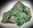 Torbernite from Musonoi Mine, Kolwezi District, Katanga Copperbelt, Lualaba Province, Democratic Republic of the Congo