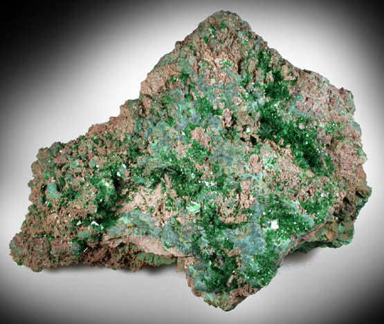 Torbernite from Musonoi Mine, Kolwezi District, Katanga Copperbelt, Lualaba Province, Democratic Republic of the Congo