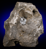 Quartz var. Herkimer Diamond in dolostone from Middleville, Herkimer County, New York (Type Locality for Herkimer Diamond)