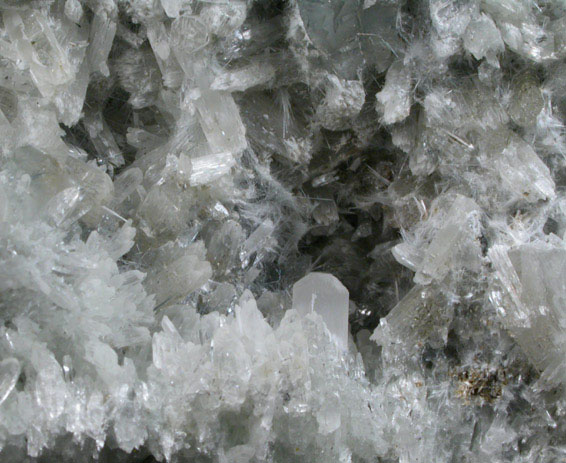 Pectolite from Poudrette Quarry, Mont Saint-Hilaire, Qubec, Canada