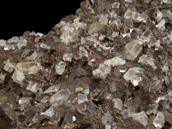 Shortite in Shale from FMC Westvaco Mine, Green River Formation, west of Green River, Sweetwater County, Wyoming (Type Locality for Shortite)