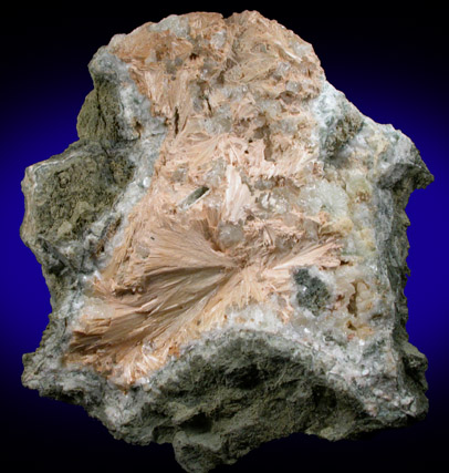 Stevensite pseudomorphs after Pectolite with Calcite, Quartz from New Street Quarry, Paterson, Passaic County, New Jersey