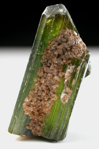Elbaite Tourmaline with Cookeite from Pala District, San Diego County, California