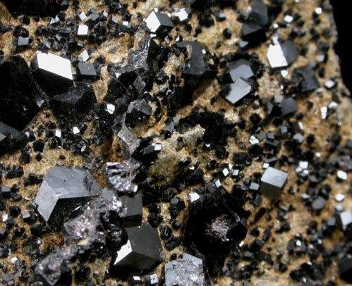 Andradite var. Melanite Garnet from New Idria District, San Benito County, California