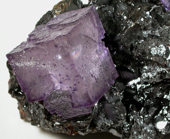 Fluorite on Sphalerite from Elmwood Mine, Carthage, Smith County, Tennessee