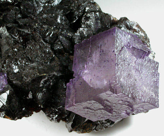 Fluorite on Sphalerite from Elmwood Mine, Carthage, Smith County, Tennessee