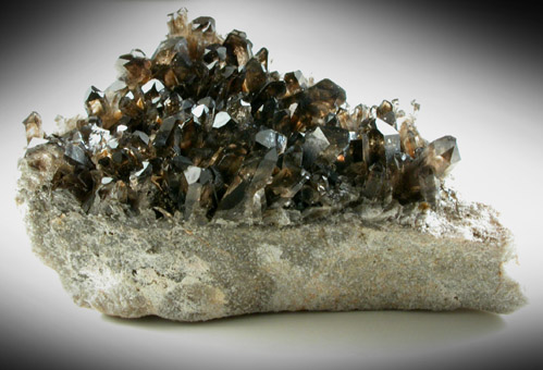 Quartz var. Smoky from Warrens Peak, Crook County, Wyoming