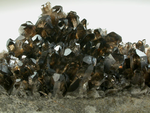 Quartz var. Smoky from Warrens Peak, Crook County, Wyoming