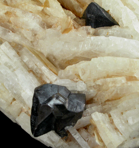 Cassiterite on Albite var. Cleavelandite from Galilea, Minas Gerais, Brazil