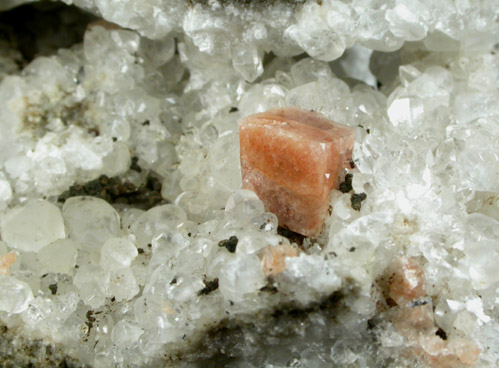 Chabazite-Ca, Datolite, Chamosite, Calcite, Quartz from Prospect Park Quarry, Prospect Park, Passaic County, New Jersey