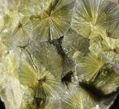 Wavellite from Montgomery County, Arkansas