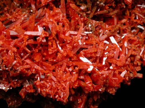 Crocoite from Adelaide Mine, Zeehan District, Tasmania, Australia