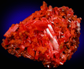 Crocoite from Adelaide Mine, Zeehan District, Tasmania, Australia