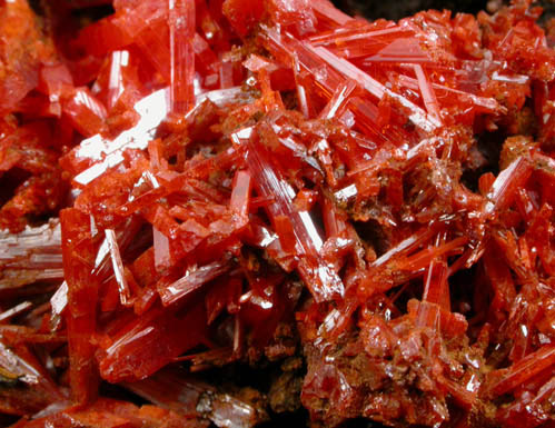 Crocoite from Adelaide Mine, Zeehan District, Tasmania, Australia